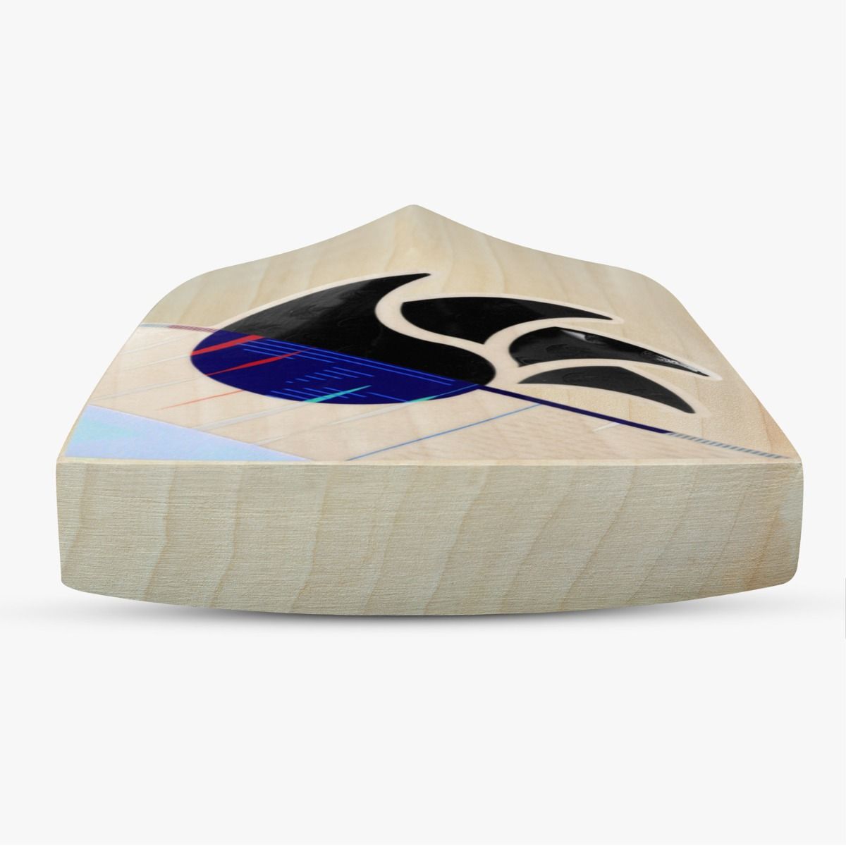 DSC Cynos 11 English Willow Bat